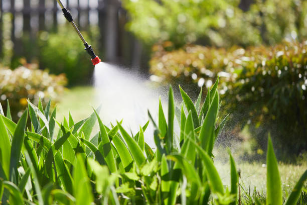 Tamper-Resistant Bait Stations for Rodents in Northfield