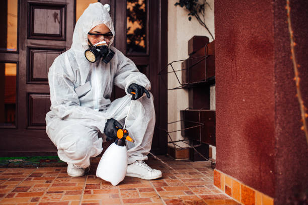 Attic and Crawl Space Rodent Treatment in Northfield