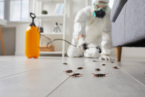Commercial Rodent Management in Northfield